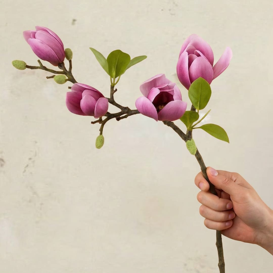 Magnolia (1 gren)