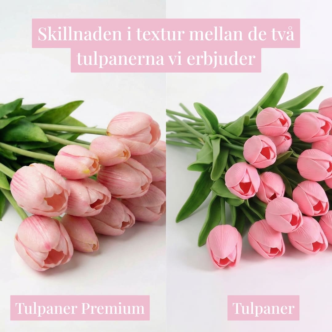 Tulpaner Premium (set med 15)