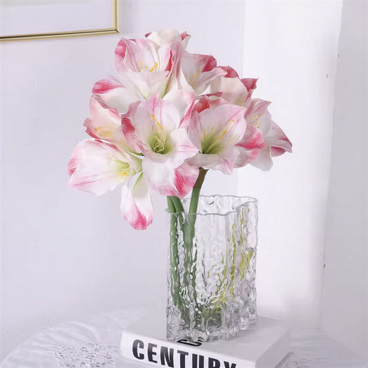 Amaryllis (1 blomma)