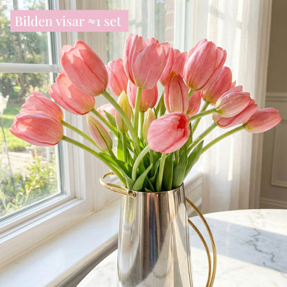 Tulpaner Premium (set med 15)
