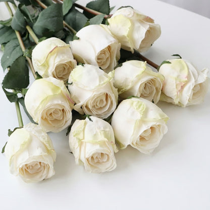 Rosor Premium (set med 12)