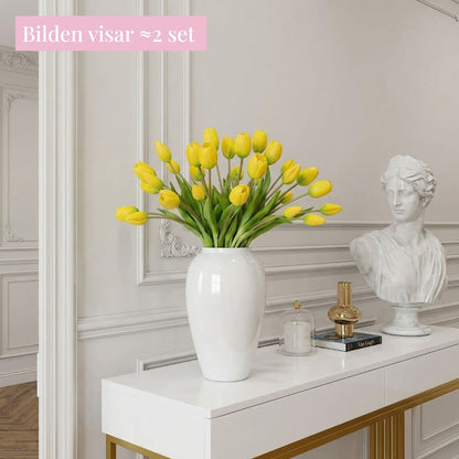 Tulpaner Premium (set med 15)