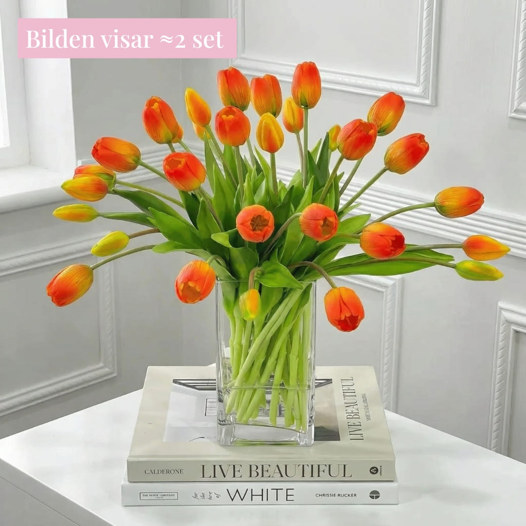 Tulpaner Premium (set med 15)