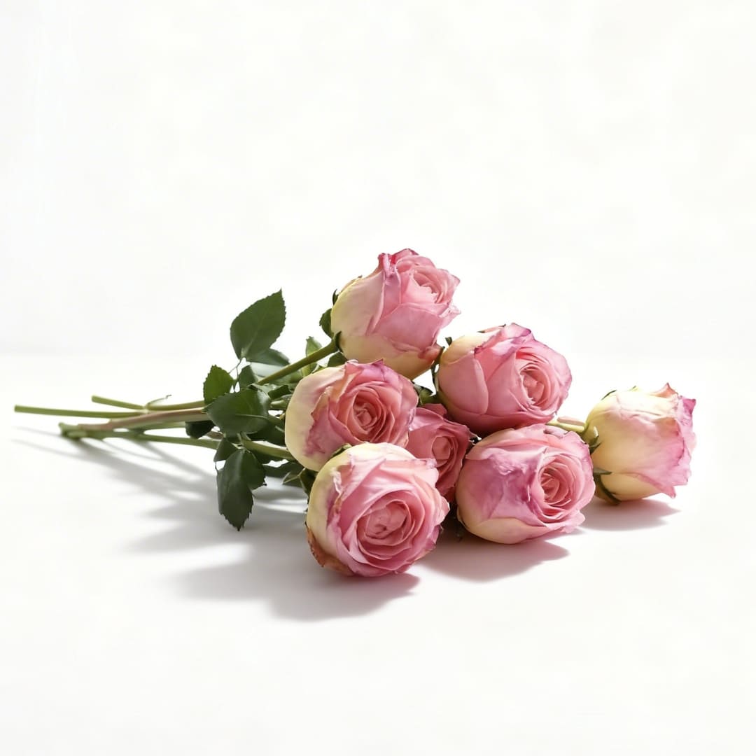 Rosor Premium (set med 12)