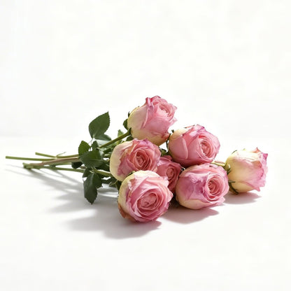 Rosor Premium (set med 12)