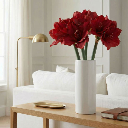 Amaryllis (1 blomma)