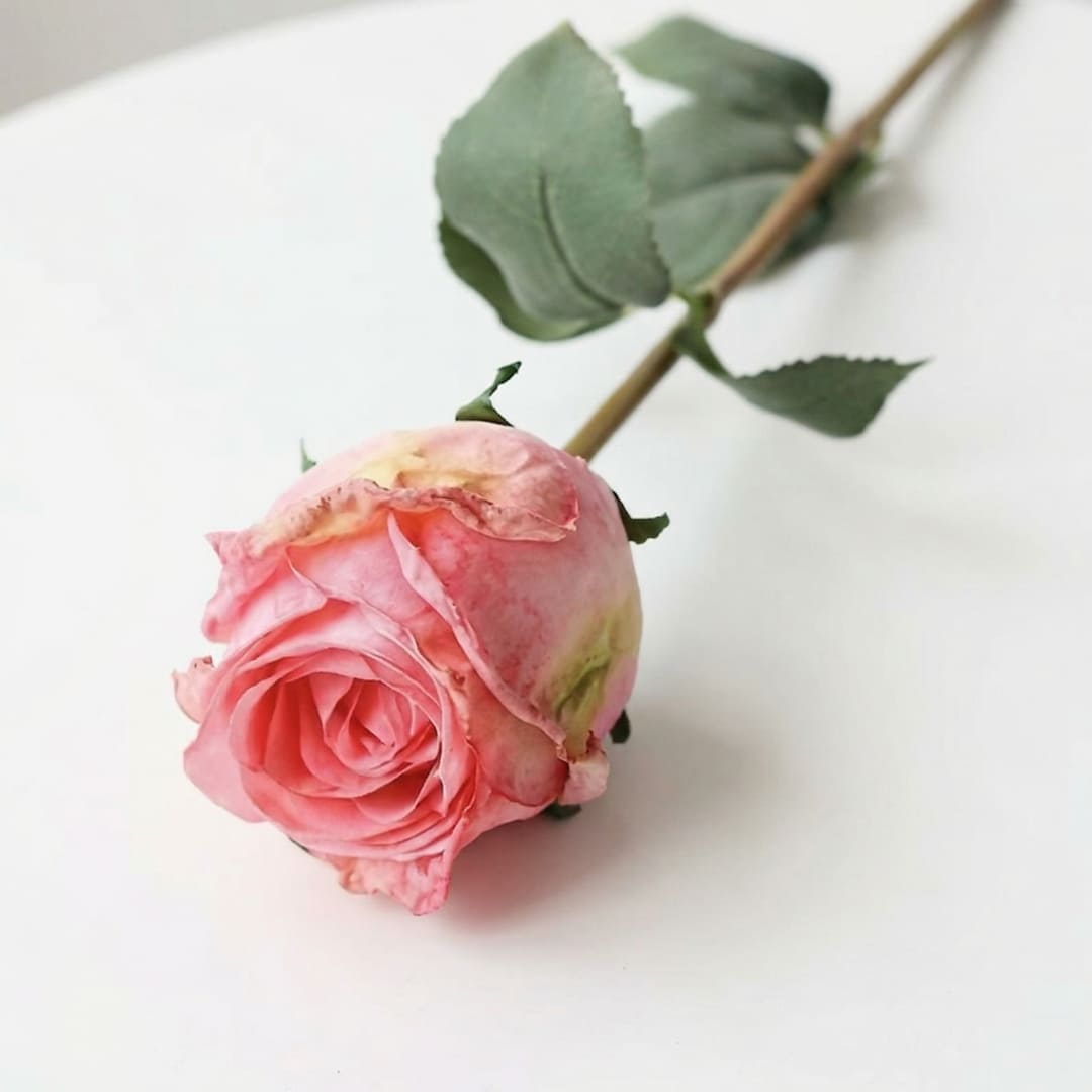 Rosor Premium (set med 12)