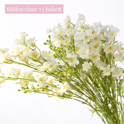 Violer (bukett med 5)