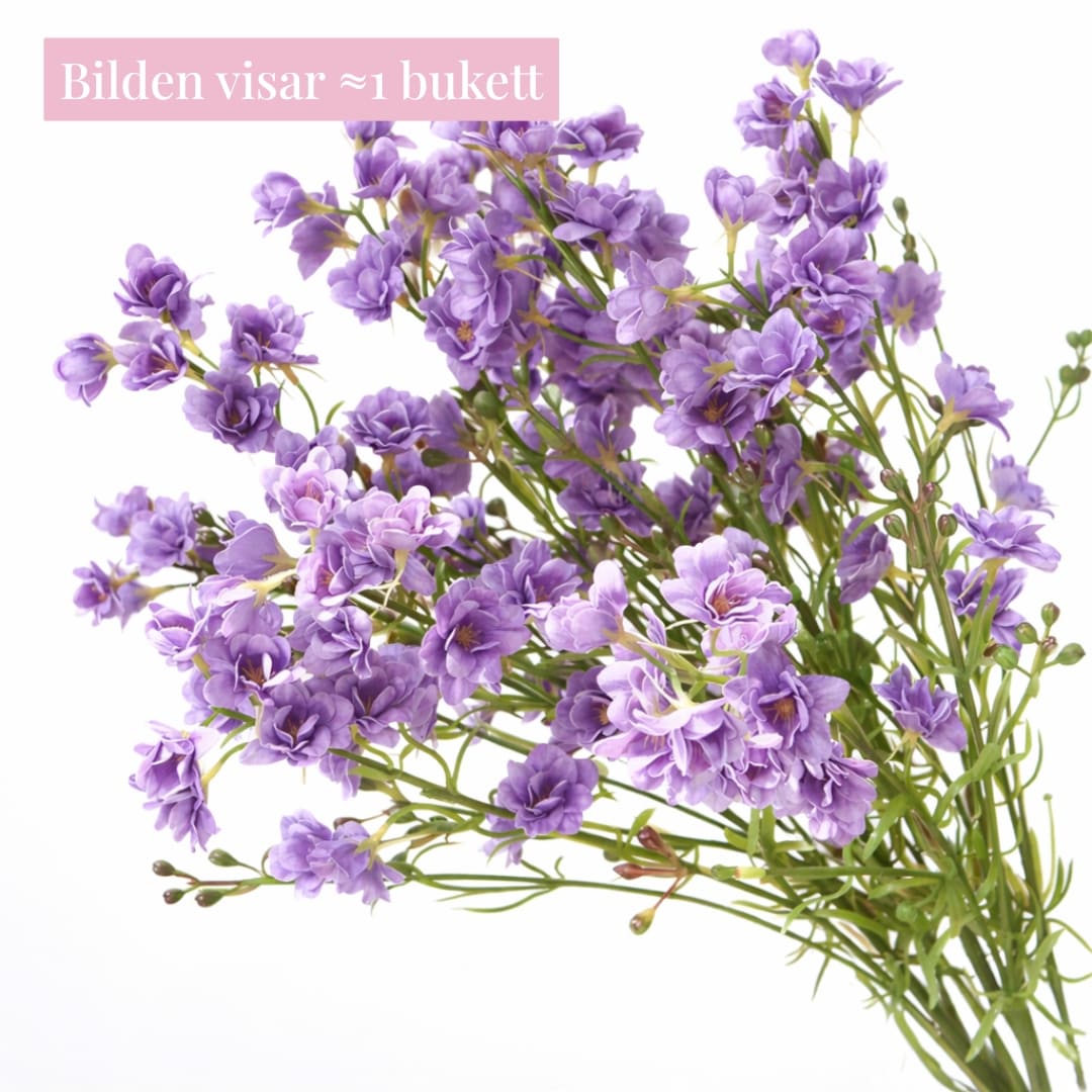 Violer (bukett med 5)
