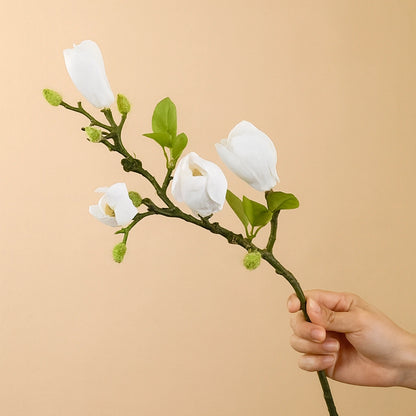 True-to-Life Magnolia (1pc)