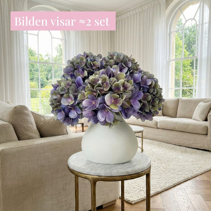 Hortensia (set med 4)