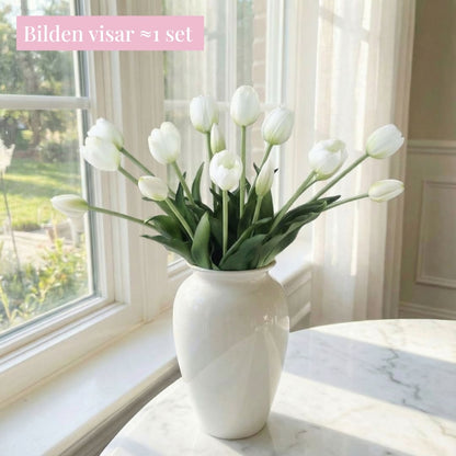 Tulpaner Premium (set med 15)