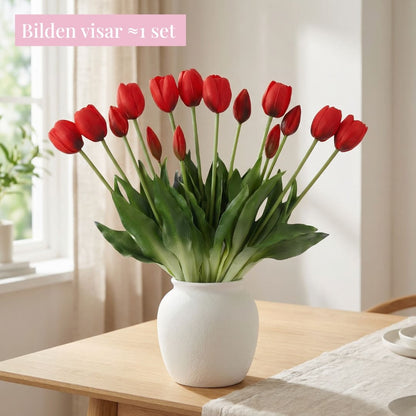 Tulpaner Premium (set med 15)