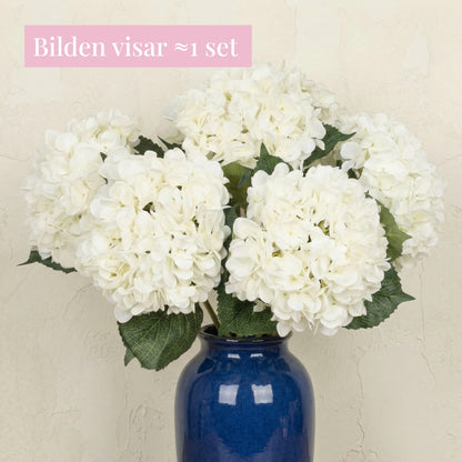 Hortensia (set med 4)