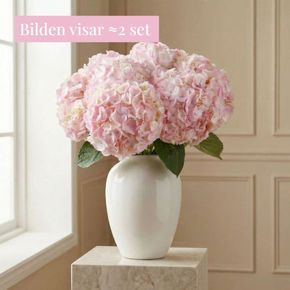 Hortensia (set med 4)