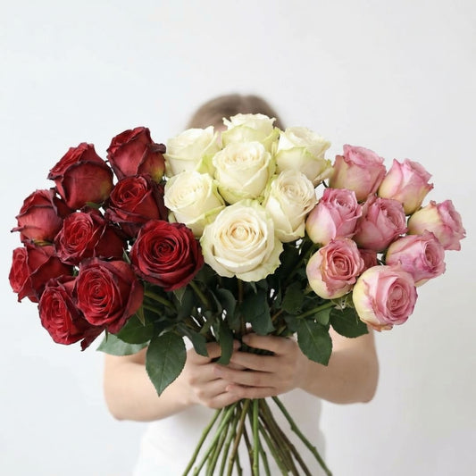 Rosor Premium (set med 12)