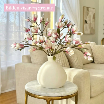Magnolia (1 gren)